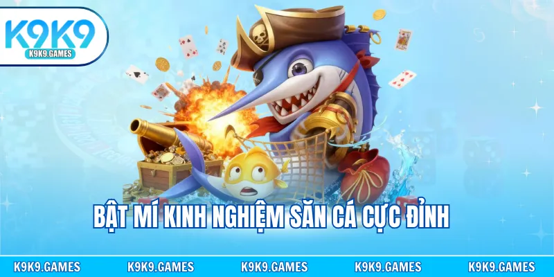 Bật mí kinh nghiệm săn cá cực đỉnh